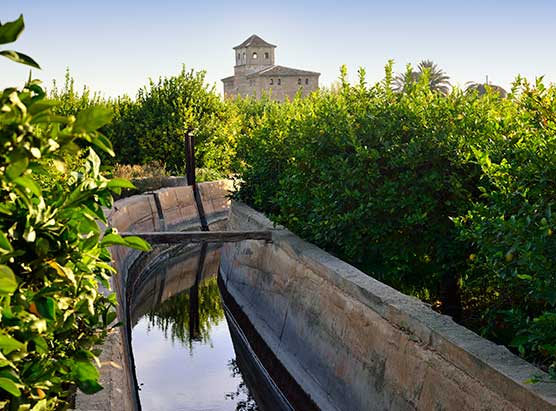 LA HUERTA DE MURCIA